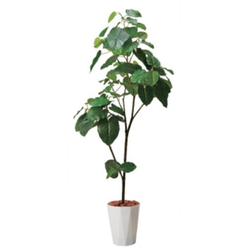 ■グリーンクロス 180cmウンベラータポット 幅85 PWL〔品番:6300029299〕【4105386:0】[送料別途見積り][法人・事業所限定][外直送][店頭受取不可]