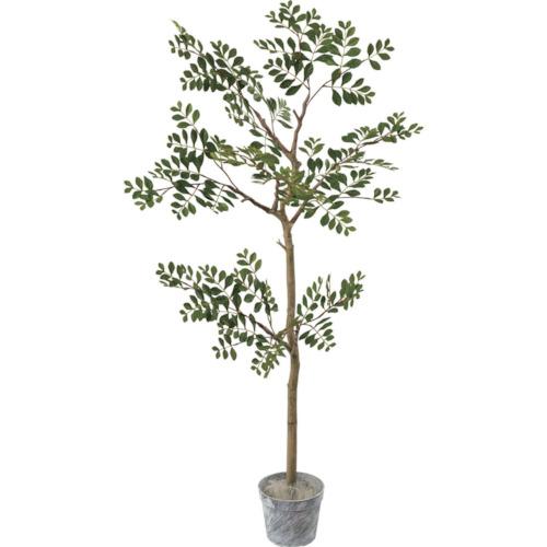 ■グリーンクロス ジョイントトネリコツリーセット 全長130cm〔品番:6300029190〕【4105395:0】[送料別途見積り][法人・事業所限定][外直送][店頭受取不可]