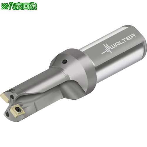 ■Walter チップ交換式ドリル D3120〔品番:D31200216.00F25P21〕【4109421:0】[送料別途見積り][掲外取寄][店頭受取不可]｜ホームセンターバロー　店