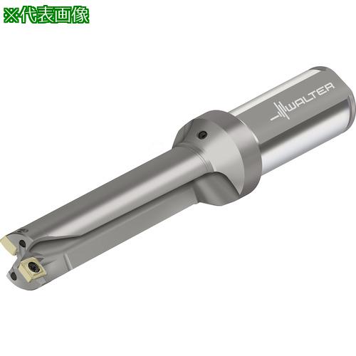 ■Walter チップ交換式ドリル D3120〔品番:D31200417.00F25P21〕【4109434:0】[送料別途見積り][掲外取寄][店頭受取不可]｜ホームセンターバロー　店