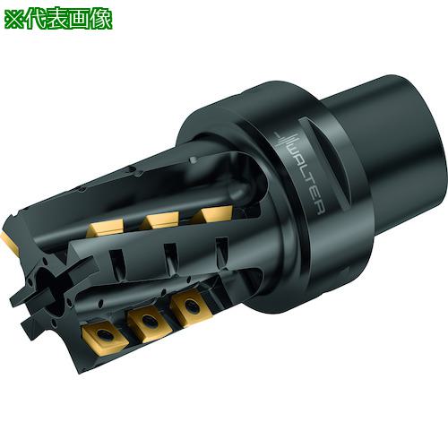 ■Walter ポーキュパインカッターボディ〔品番:M4258050C60250B〕【4109512:0】[送料別途見積り][掲外取寄][店頭受取不可]
