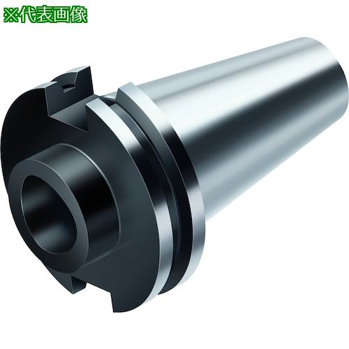 ■Walter マスター ASME B5.50 C.〔品番:C5A390B.4540080〕【4110992:0】[送料別途見積り][掲外取寄][店頭受取不可]｜ホームセンターバロー　店