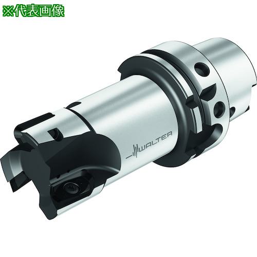 ■Walter ランピングカッター〔品番:M2131032H630215〕【4111021:0】[送料別途見積り][掲外取寄][店頭受取不可]