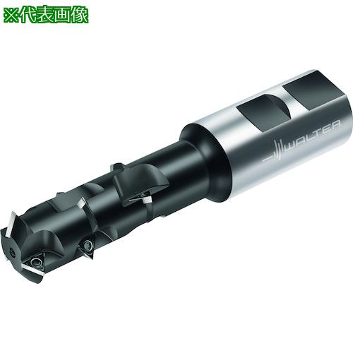 ■Walter チップ式ねじ切りカッター T2711〔品番:T2711.20W19306225.4〕【4111143:0】[送料別途見積り][掲外取寄][店頭受取不可]