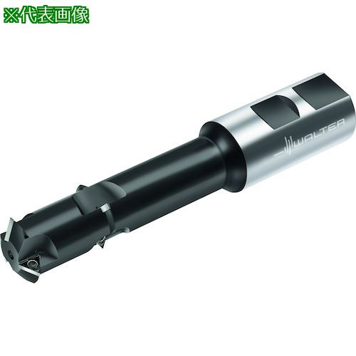 ■Walter チップ式ねじ切りカッター〔品番:T271240W40314250〕【4111146:0】[送料別途見積り][掲外取寄][店頭受取不可]