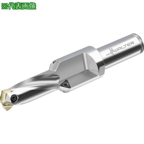 ■Walter チップ交換式ドリル D4240〔品番:D42400219.00F20D〕【4111299:0】[送料別途見積り][掲外取寄][店頭受取不可]