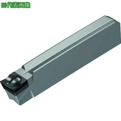 ■Walter PCD 溝入れおよび突っ切り WDN10〔品番:GX243F400N02FSF1〕【4111306:0】[送料別途見積り][掲外取寄][店頭受取不可]