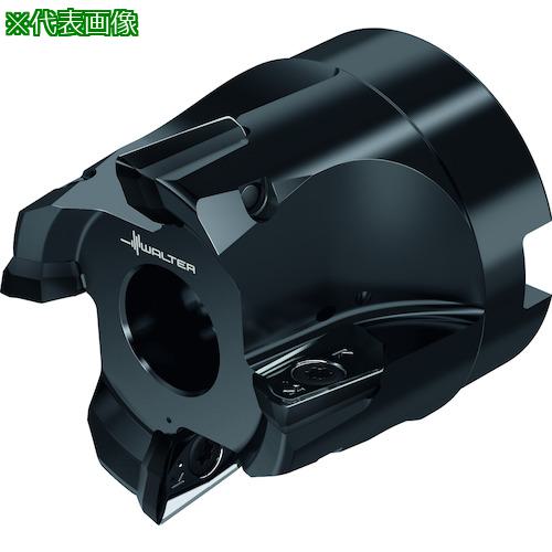 ■Walter ランピングカッター〔品番:M2131.076B260515〕【4112578:0】[送料別途見積り][掲外取寄][店頭受取不可]｜ホームセンターバロー　店