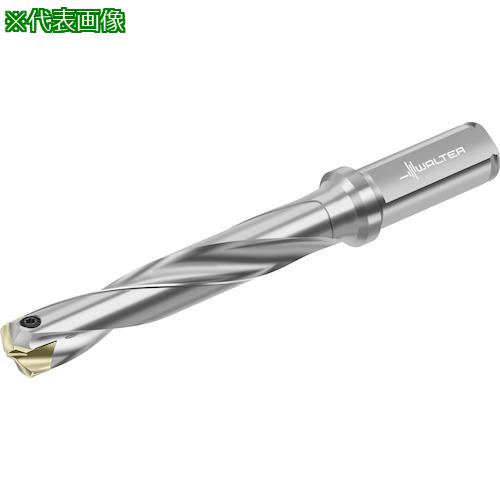■Walter チップ交換式ドリル D4140〔品番:D4140.0531.00F31K〕【4112830:0】[送料別途見積り][掲外取寄][店頭受取不可]