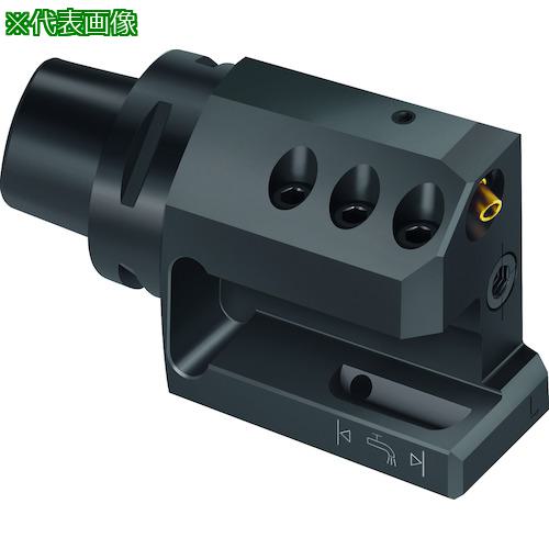 ■Walter Walter Capto TM アキシャルアダプター A2120-C...-P〔品番:A2120C625R122P〕【4114436:0】[送料別途見積り][掲外取寄][店頭受取不可]｜ホームセンターバロー　店
