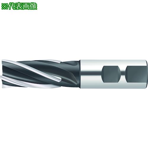 ■Walter ろう付けヘリカル溝削りエンドミル〔品番:F1678.W.040.Z06.63.K〕【4115441:0】[送料別途見積り][掲外取寄][店頭受取不可]｜ホームセンターバロー　店