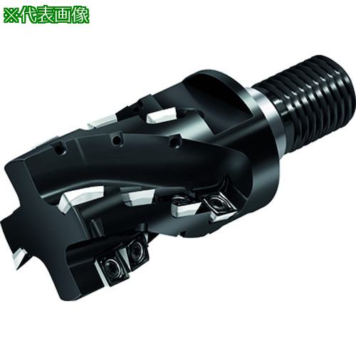 ■Walter ポーキュパインカッター〔品番:M4257040T360254〕【4115774:0】[送料別途見積り][掲外取寄][店頭受取不可]