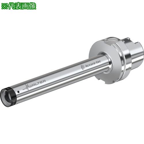 ■Walter HSK-T アダプター ビビり抑制 A3000-HSK-T〔品番:A3000H63TQ32224〕【4116193:0】[送料別途見積り][掲外取寄][店頭受取不可]