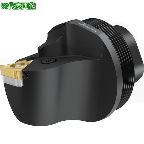 ■Walter 交換式ヘッド めねじ T1820-Q...-P〔品番:T1820Q32L16IP〕【4116236:0】[送料別途見積り][掲外取寄][店頭受取不可]