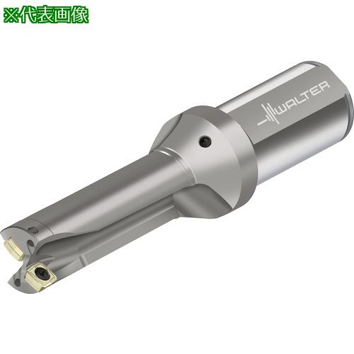 ■Walter チップ交換式ドリル D3120〔品番:D31200328.00F32P23〕【4117418:0】[送料別途見積り][掲外取寄][店頭受取不可]｜ホームセンターバロー　店