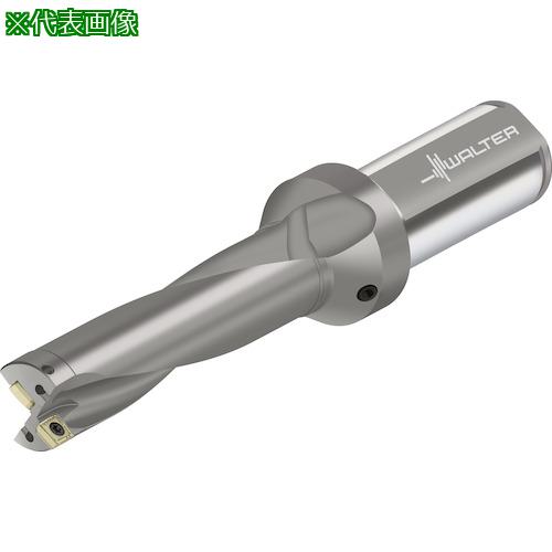 ■Walter チップ交換式ドリル D4120〔品番:D41200452.00F40P48〕【4120480:0】[送料別途見積り][掲外取寄][店頭受取不可]