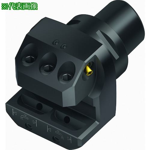 ■Walter Walter Capto TM ラジアルアダプター A2121-C...-P〔品番:A2121C520N064P〕【4120770:0】[送料別途見積り][掲外取寄][店頭受取不可]