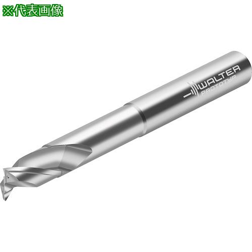 ■Prototyp 超硬エンドミル〔品番:MD26606.0A2LDWJ30UU〕【4121684:0】[送料別途見積り][掲外取寄][店頭受取不可]