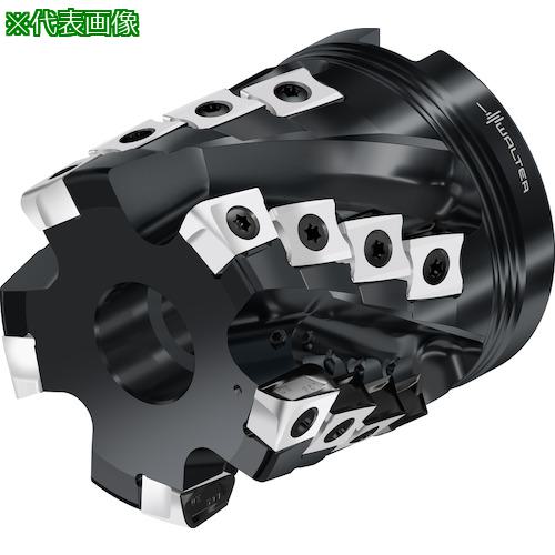■Walter ポーキュパインカッター〔品番:M3255080B320558〕【4123718:0】[送料別途見積り][掲外取寄][店頭受取不可]