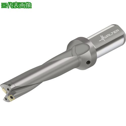 ■Walter チップ交換式ドリル D4120〔品番:D4120.0547.63F38P47〕【4126480:0】[送料別途見積り][掲外取寄][店頭受取不可]