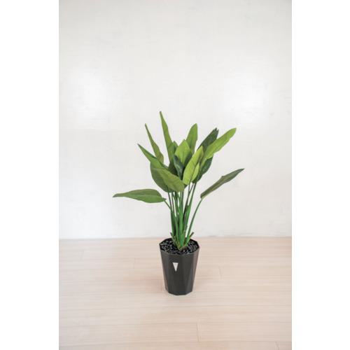 ■グリーンクロス 人工樹木/人工観葉植物 ストレチア〔品番:6300028783〕【4127805:0】[送料別途見積り][法人・事業所限定][外直送][店頭受取不可]