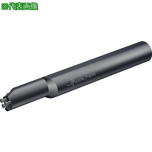 ■Walter Boring bar modular MSS...I...2.5〔品番:MSSI16L9025DN〕【4128172:0】[送料別途見積り][掲外取寄][店頭受取不可]