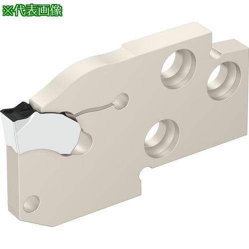 ■Walter 溝入れモジュール 外径溝加工 G2632-E...R L...-SX〔品番:G2632E25R6T35SX〕【4128325:0】[送料別途見積り][掲外取寄][店頭受取不可]｜ホームセンターバロー　店