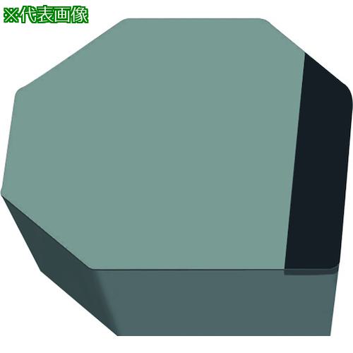 超ワイドモンキレンチ×北斗の拳|最強共同研究がここに現実化！