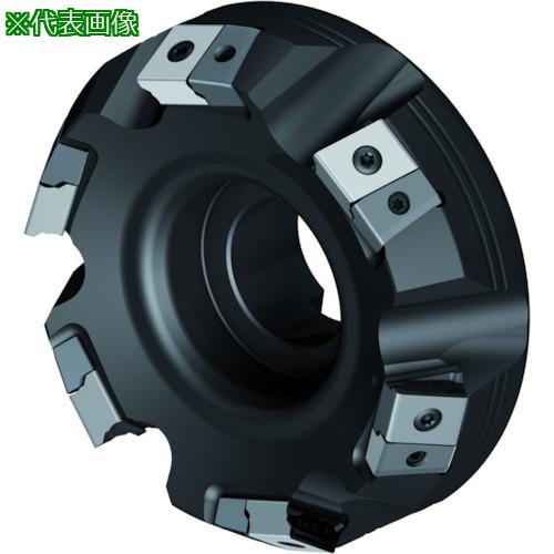 ■Walter 重切削用フェースミルカッター〔品番:M3016250B601116〕【4132981:0】[送料別途見積り][掲外取寄][店頭受取不可]
