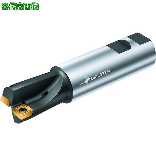 ■Walter ドリルエンドミル〔品番:M4791.031W310112〕【4133212:0】[送料別途見積り][掲外取寄][店頭受取不可] 31,103円
