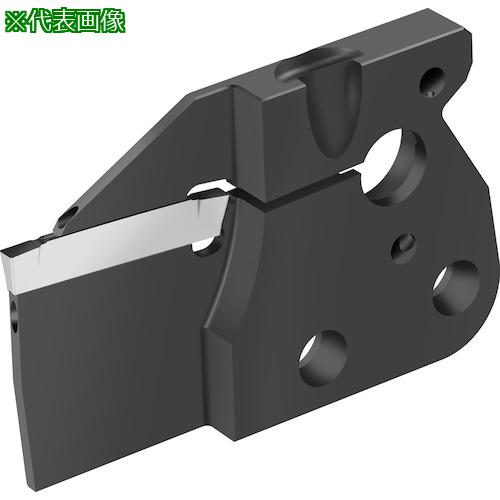 ■Walter 溝入れモジュール 外径溝加工 G1634-P〔品番:G163433L3T21GX24P〕【4133440:0】[送料別途見積り][掲外取寄][店頭受取不可]