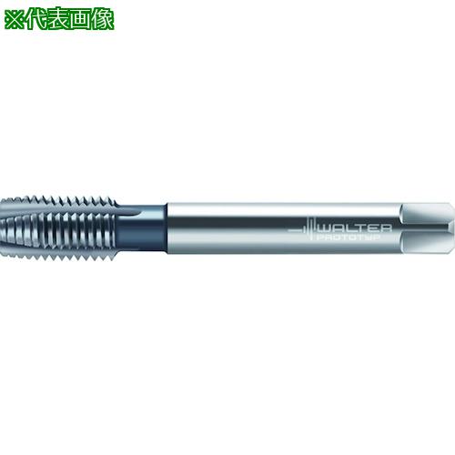 ■Prototyp HSS-E-PM マシンタップ〔品番:21266106M12X1.25〕【4166894:0】[送料別途見積り][掲外取寄][店頭受取不可]｜ホームセンターバロー　店