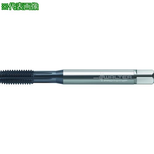 ■Prototyp HSS-E-PM- 転造タップ〔品番:TC430M8C6WW60EL〕【4166895:0】[送料別途見積り][掲外取寄][店頭受取不可]｜ホームセンターバロー　店
