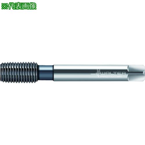 ■Prototyp HSS-E-PM- 転造タップ〔品番:TC420M16L1WW60BA〕【4166952:0】[送料別途見積り][掲外取寄][店頭受取不可]