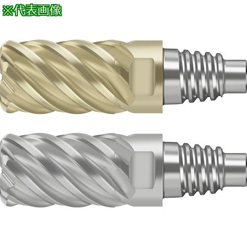 ■Prototyp 超硬エンドミル〔品番:MD12812.0E6X050WJ30RD〕【4168474:0】[送料別途見積り][掲外取寄][店頭受取不可]｜ホームセンターバロー　店
