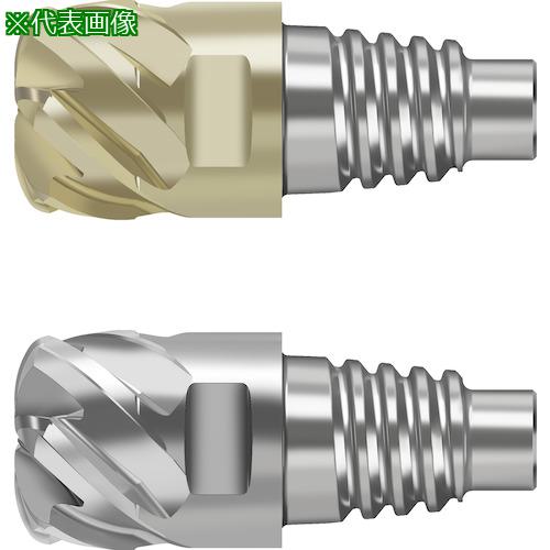■Prototyp 超硬高送りエンドミル〔品番:MD02520.0E6P200WJ30RA〕【4168492:0】[送料別途見積り][掲外取寄][店頭受取不可]｜ホームセンターバロー　店