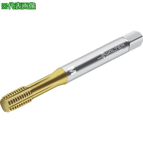 ■Prototyp HSS-E 転造タップ〔品番:TC440M4C6WY80AD〕【4170110:0】[送料別途見積り][掲外取寄][店頭受取不可]
