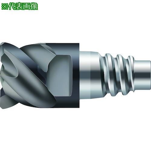 ■Prototyp 超硬エンドミル〔品番:MC32610.0E4P100WJ30TF〕【4173092:0】[送料別途見積り][掲外取寄][店頭受取不可]