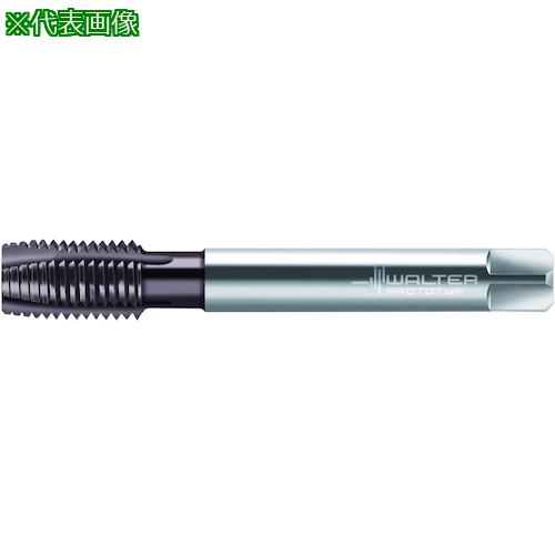 ■Prototyp HSS-E マシンタップ〔品番:AEP2226002UNC716〕【4173467:0】[送料別途見積り][掲外取寄][店頭受取不可]