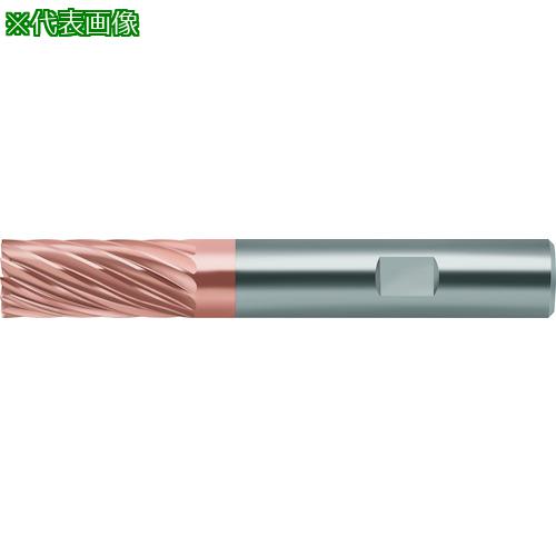 ■Prototyp 超硬エンドミル〔品番:MC18316.0W16BWB10TG〕【4174659:0】[送料別途見積り][掲外取寄][店頭受取不可]｜ホームセンターバロー　店