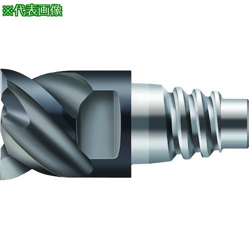 ■Prototyp 超硬エンドミル〔品番:MC32616.0E4PWJ30TF〕【4176253:0】[送料別途見積り][掲外取寄][店頭受取不可]