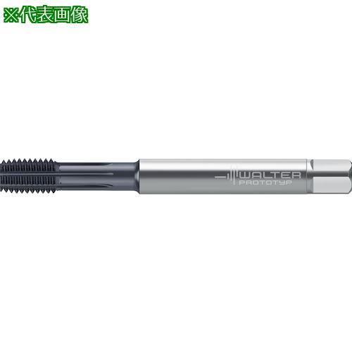 ■Prototyp 超硬転造タップ〔品番:TC470M6C5WG20EL〕【4176264:0】[送料別途見積り][掲外取寄][店頭受取不可]｜ホームセンターバロー　店