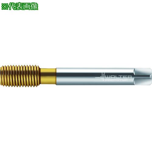 ■Prototyp HSS-E-PM- 転造タップ〔品番:TC420M16L1WW60AD〕【4177756:0】[送料別途見積り][掲外取寄][店頭受取不可]