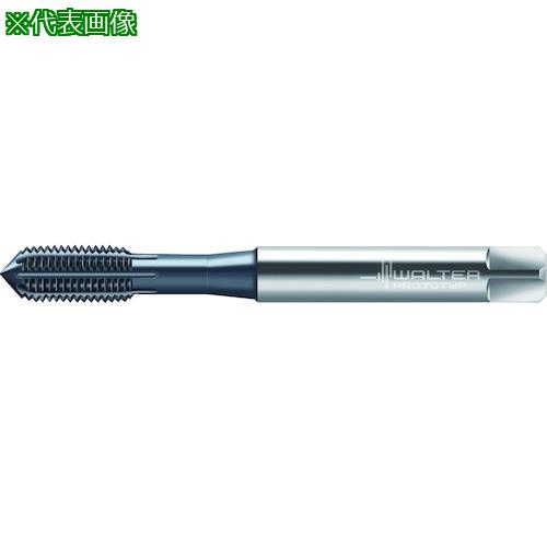 ■Prototyp HSS-E-PM- 転造タップ〔品番:TC420M8C6WW60BA〕【4177781:0】[送料別途見積り][掲外取寄][店頭受取不可]