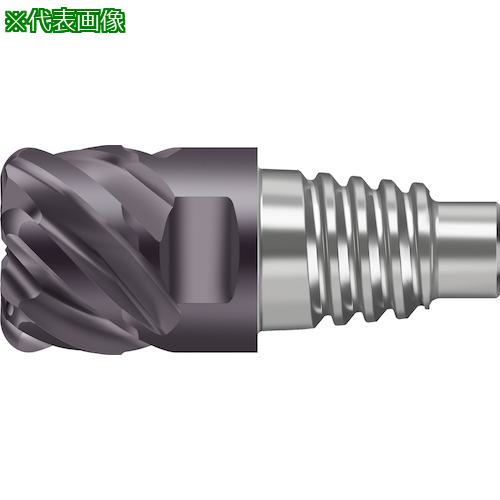 ■Prototyp 超硬エンドミル〔品番:MC12816.0E6P150WJ30TF〕【4177837:0】[送料別途見積り][掲外取寄][店頭受取不可]｜ホームセンターバロー　店