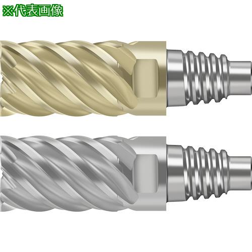 ■Prototyp 超硬エンドミル〔品番:MD12812.0E6XWJ30RD〕【4177876:0】[送料別途見積り][掲外取寄][店頭受取不可]