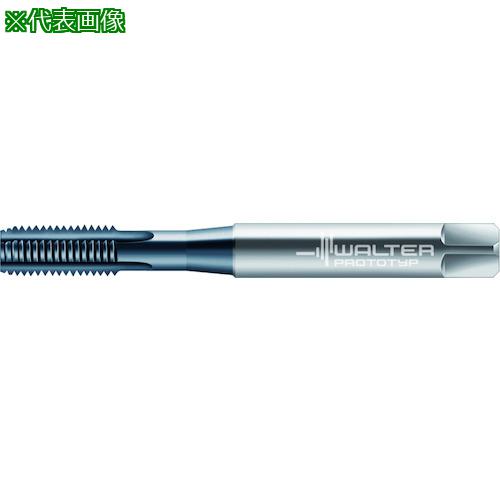 ■Prototyp HSS-E-PM マシンタップ〔品番:E2031456M4〕【4180850:0】[送料別途見積り][掲外取寄][店頭受取不可]