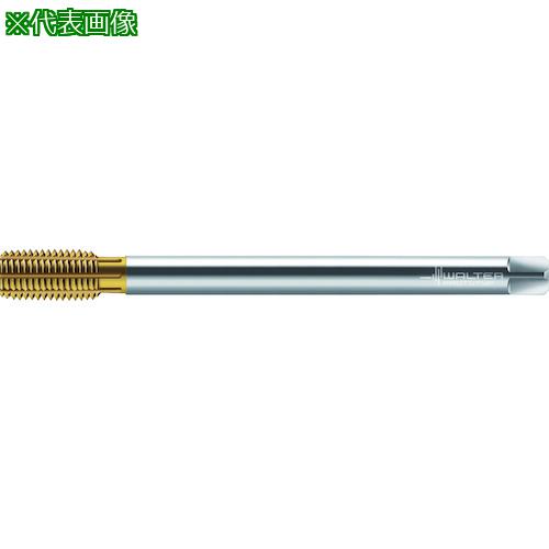■Prototyp HSS-E-PM- 転造タップ〔品番:TC420M12LHWW60AD〕【4182508:0】[送料別途見積り][掲外取寄][店頭受取不可]