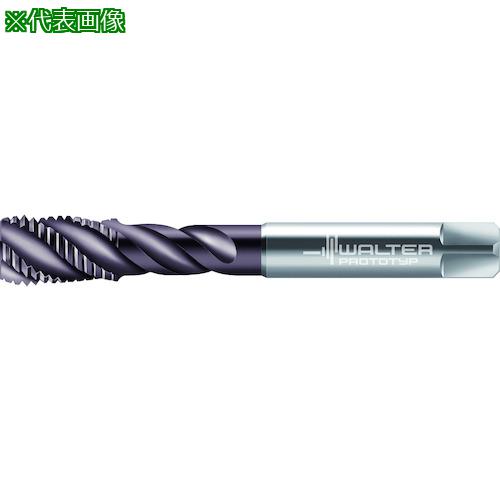 ■Prototyp HSS-E-PM マシンタップ〔品番:EP2056352M12〕【4185600:0】[送料別途見積り][掲外取寄][店頭受取不可] 12,768円