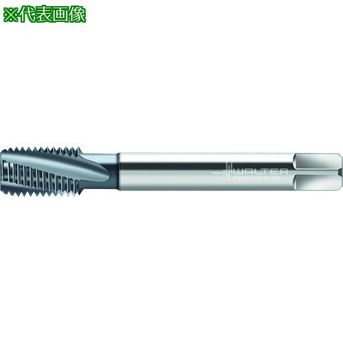 ■Prototyp HSS-E-PM マシンタップ〔品番:22460206UNC34〕【4187789:0】[送料別途見積り][掲外取寄][店頭受取不可]｜ホームセンターバロー　店